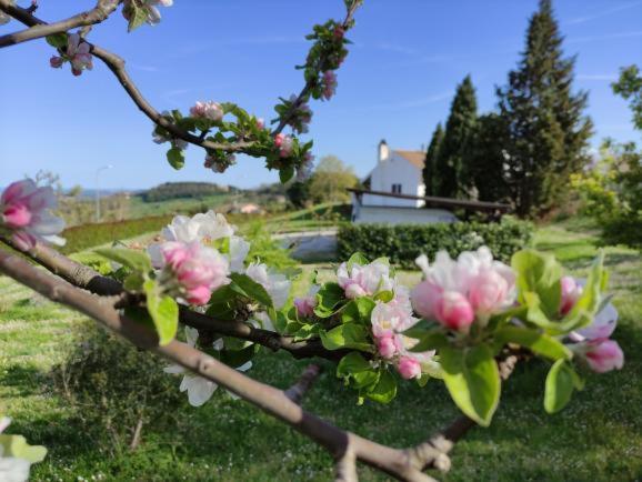 B&B Casa Soresina Offagna Exterior photo